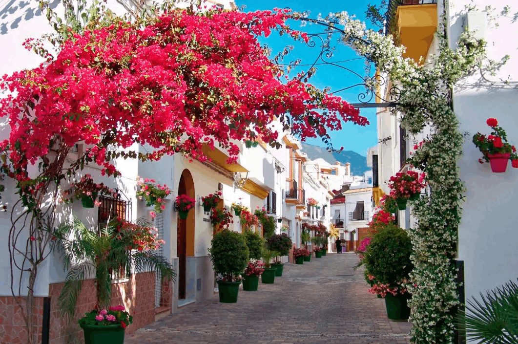 Estepona properties and lifestyle