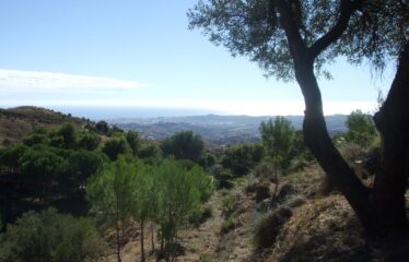 T-80 PARCELAS URBANAS EN URBANIZACION VALTOCADO, MIJAS