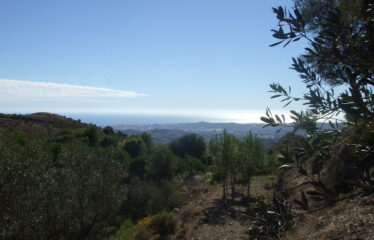 T-80 PARCELAS URBANAS EN URBANIZACION VALTOCADO, MIJAS