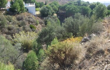 T-80 PARCELAS URBANAS EN URBANIZACION VALTOCADO, MIJAS