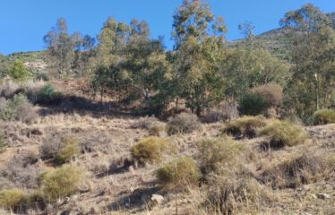 T-11 RUSTIC LAND WITH BEAUTIFUL VIEWS