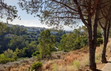 T-6 RURAL PLOT IN MIJAS
