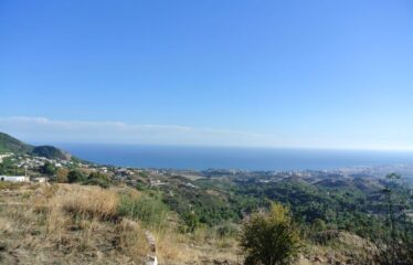 T-3 RUSTIC PLOT IN MIJAS