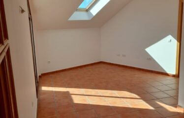 P-21 GREAT OPPORTUNITY IN ALCAUCIN